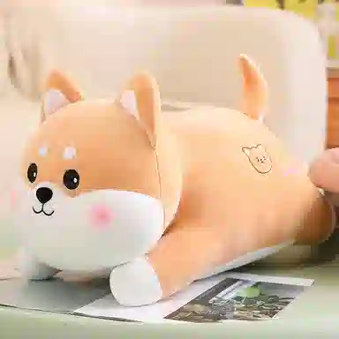 50cm60cm