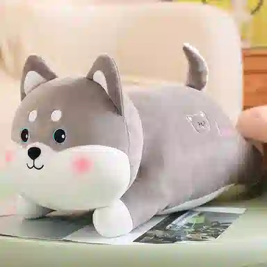50cm60cm