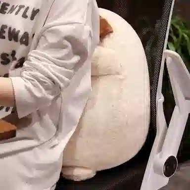 安之静雅 可爱鸡腿小狗 玩偶 毛绒公仔