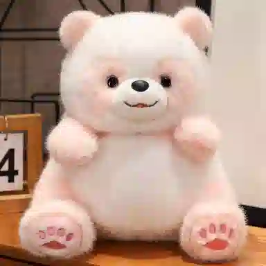 25cm40cm50cm