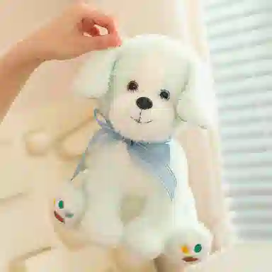 25cm