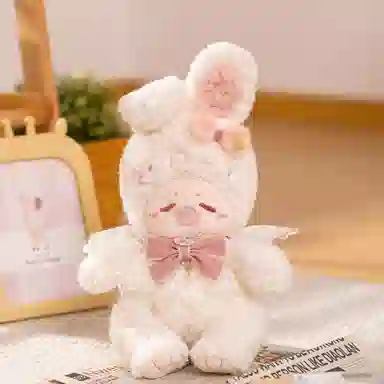 25cm