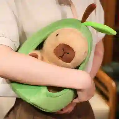 20cm30cm