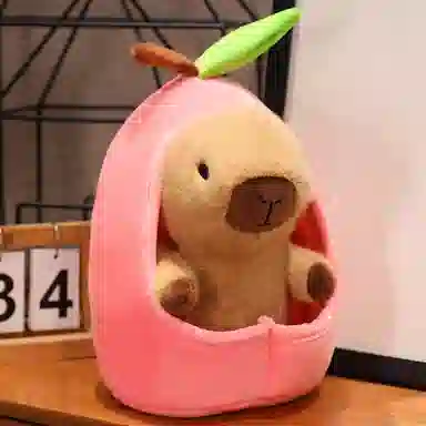 20cm30cm