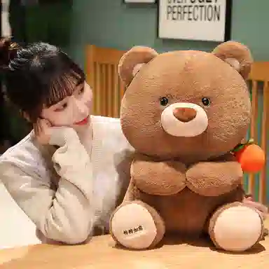 安之静雅 柿柿如意棕熊 可爱熊坐姿 玩偶 毛绒公仔
