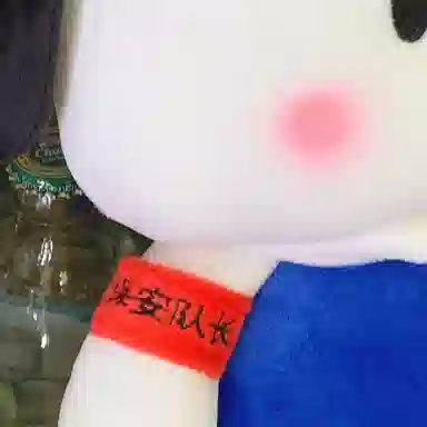 25cm38cm