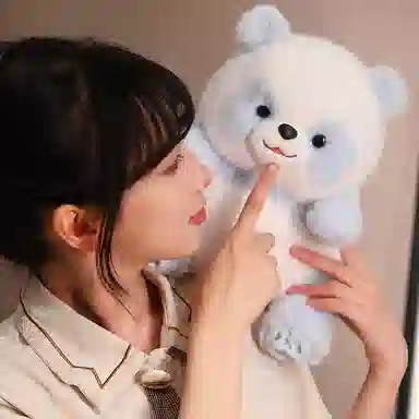 25cm40cm50cm