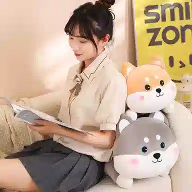 50cm60cm