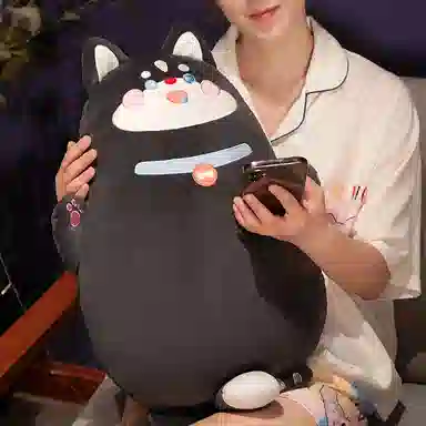 60cm80cm