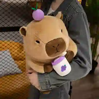 30cm40cm