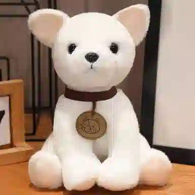 25cm
