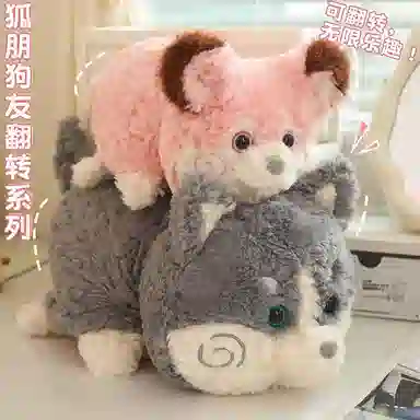 30cm40cm