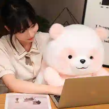 25cm40cm50cm