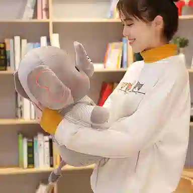 23cm32cm42cm55cm