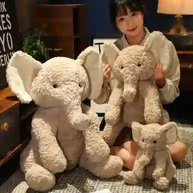 35cm55cm75cm