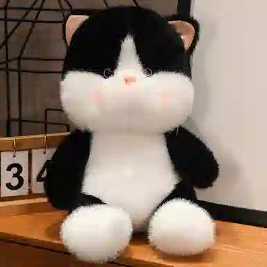 25cm35cm45cm