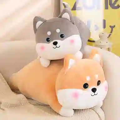 50cm60cm