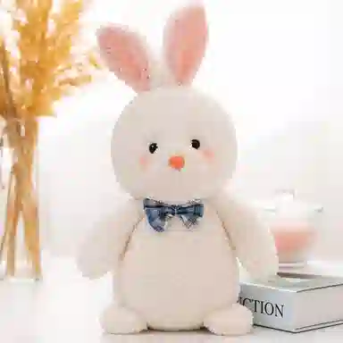 23cm