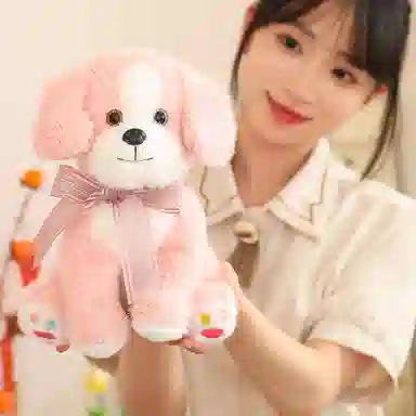 25cm