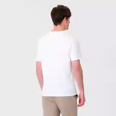 GY goldlion T