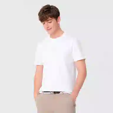 GY goldlion T