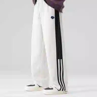 pallsupol
