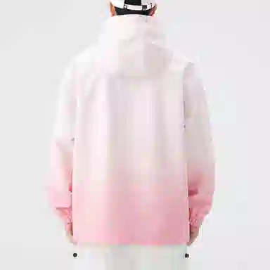 pallsupol