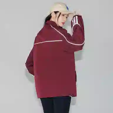pallsupol