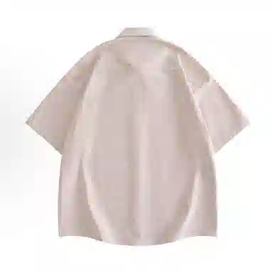 pallsupol
