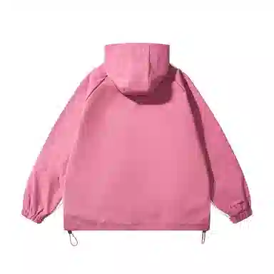 pallsupol