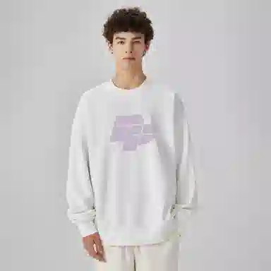 pallsupol