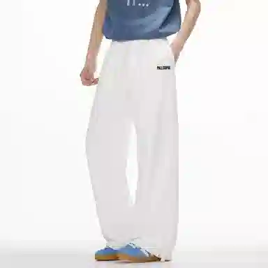 pallsupol