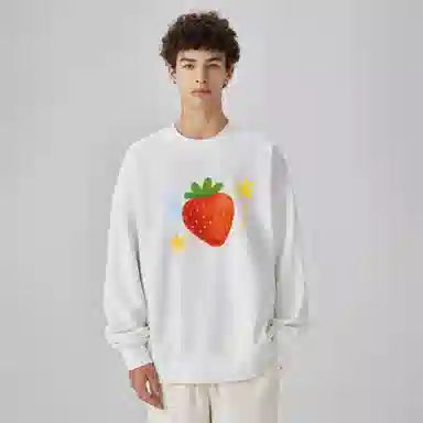 pallsupol