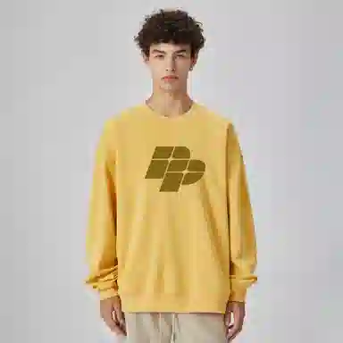 pallsupol