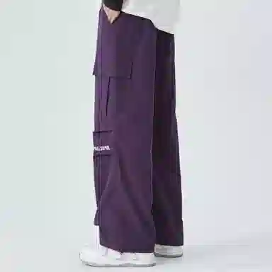 pallsupol