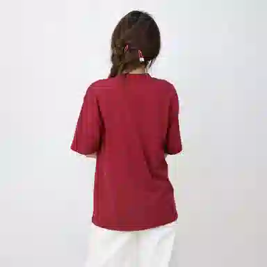 pallsupol T