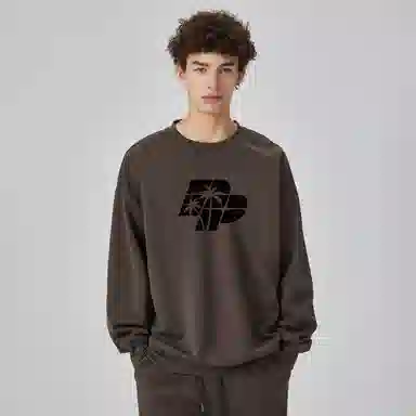 pallsupol