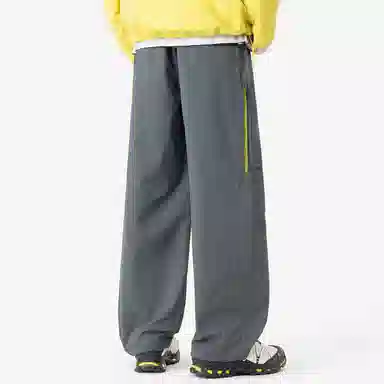 pallsupol