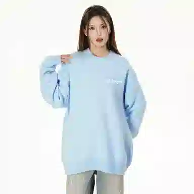 pallsupol cleanfitlogo