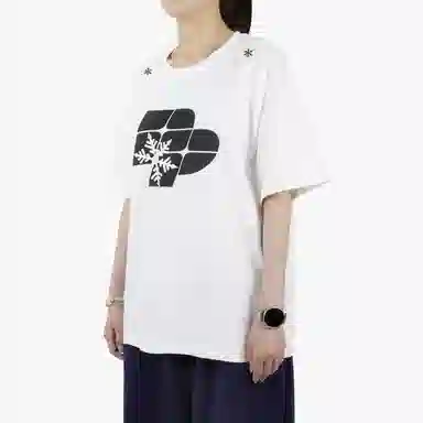 pallsupol T