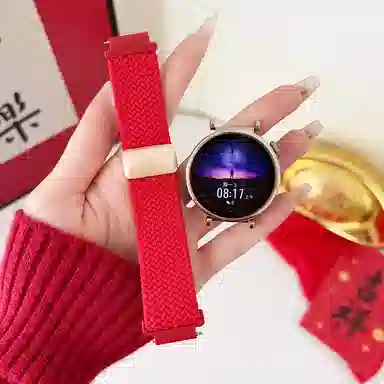 Antey 196-115mm gt5 GT3gt4watch3watch4progt2e