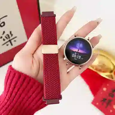 Antey 196-115mm gt5 GT3gt4watch3watch4progt2e