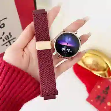 Antey 196-115mm gt5 GT3gt4watch3watch4progt2e