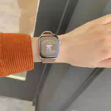 Antey AppleWatch S1098765SEultra12