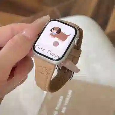 Antey applewatchs9S8S7S6S5S4S3S2S10Ultra2se