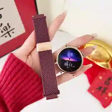 Antey 196-115mm gt5 GT3gt4watch3watch4progt2e