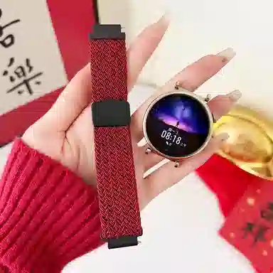 Antey 196-115mm gt5 GT3gt4watch3watch4progt2e