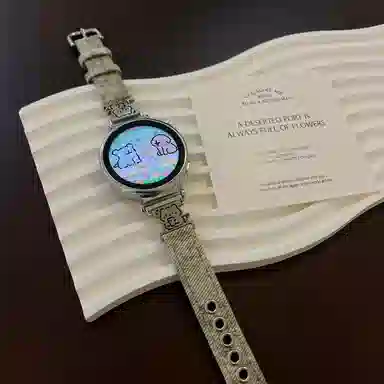 Antey gt4gt3gt2watch3watch4pro 46mme