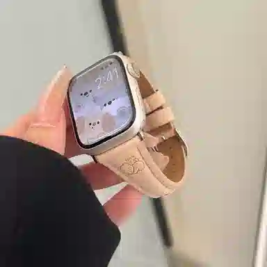 Antey applewatchs9S8S7S6S5S4S3S2S10Ultra2se
