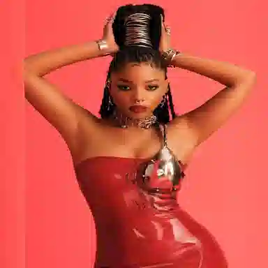 KOOGIS Silver Chain Earrings